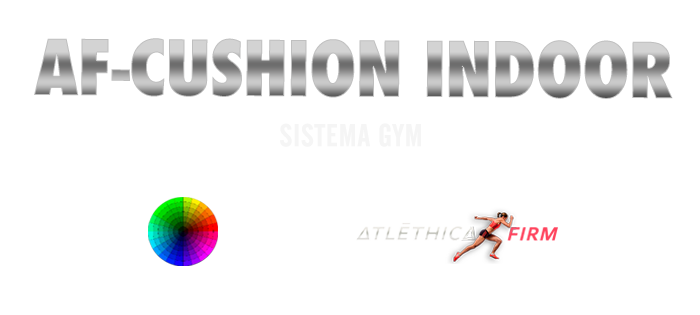 CONSTRUCCION DE PISTAS DE ATLETISMO Y gym CUSHION INDOOR (4)